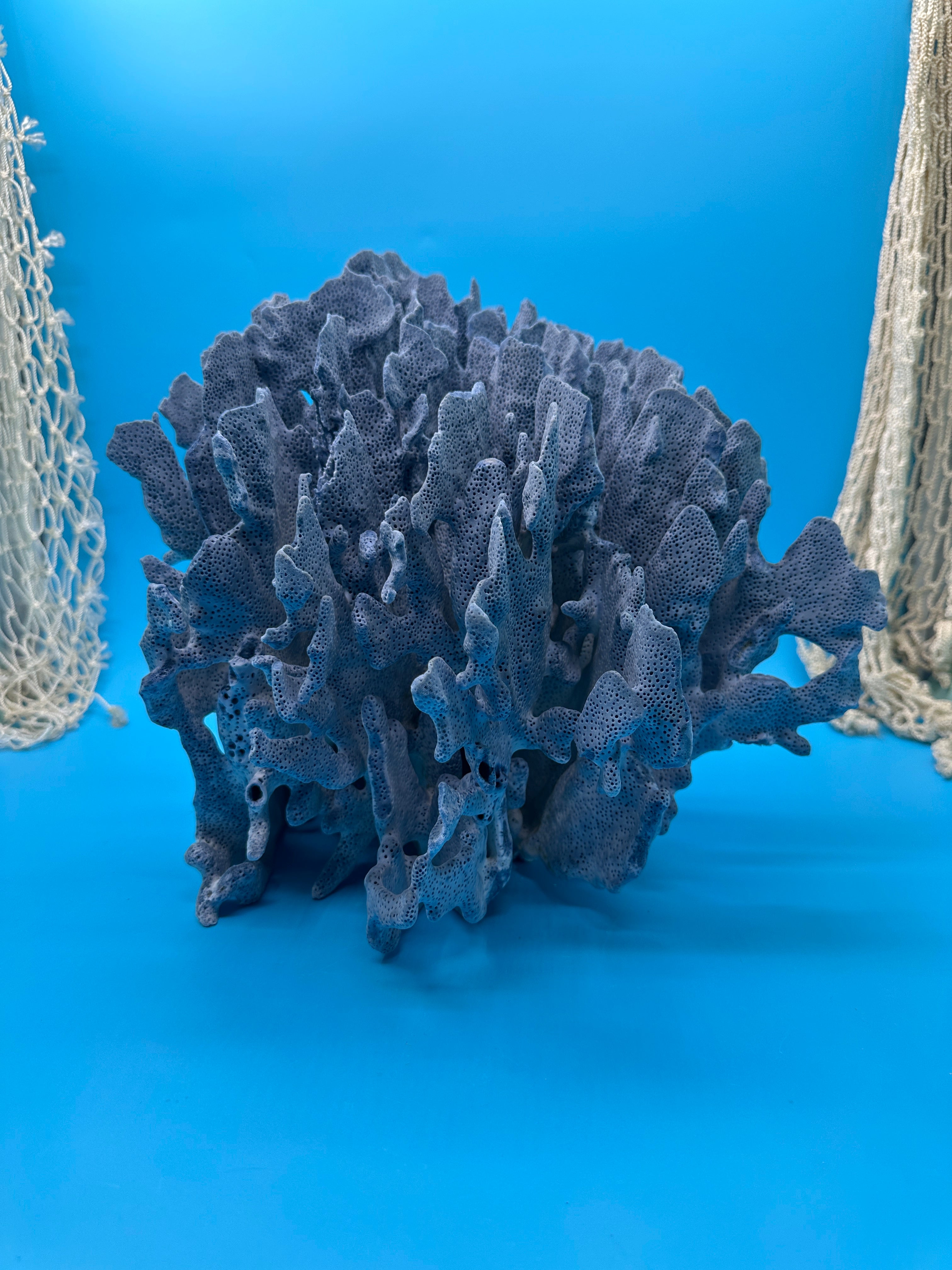 Vintage Blue Ridge Coral Specimen – Heliopora coerulea